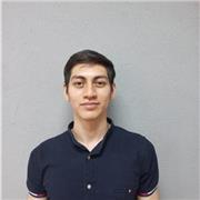 Maestro de matemáticas nivel primaria, secundaria, preparatoria y universidad